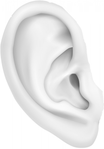 ear