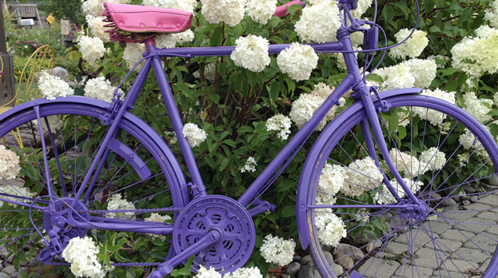 Healing garden: Landscaper Jim Sollecito has consulted with professionals in Alzheimer’s care to select what elements would work the best for these clients. Among other things, he uses sculptures, from traditional to brightly painted bicycles, to provide visual appeal.