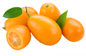 kumquat