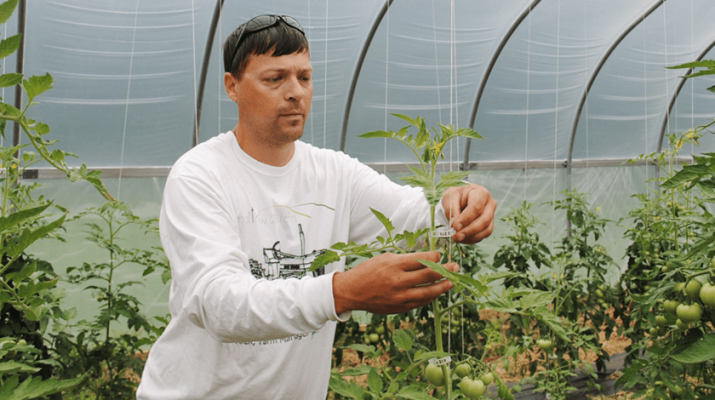 Rick Rarick is the manager of the nonprofit Matthew 25 Farm. “Here we are in year 11 and going strong, and we’re looking forward to and making plans for year 12 already,” he says.