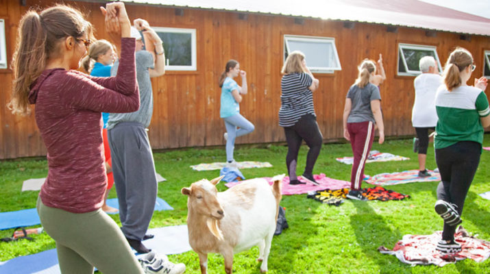 About 30 people gather each month — from spring to fall — at Purpose Farm, an 11-acre property nestled alongside the Seneca River in Baldwinsville. They practice yoga while mingling with goats and other animals. Photos by Payne Horning.