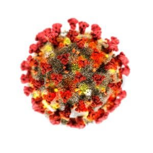 coronavirus