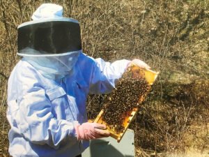 Nurse Gail Carmichel, is the vice president of patient services for Nascentia Health. On the side, she keeps bees, an interest that attracted her eight years ago.