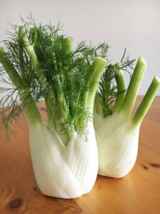 Fennel