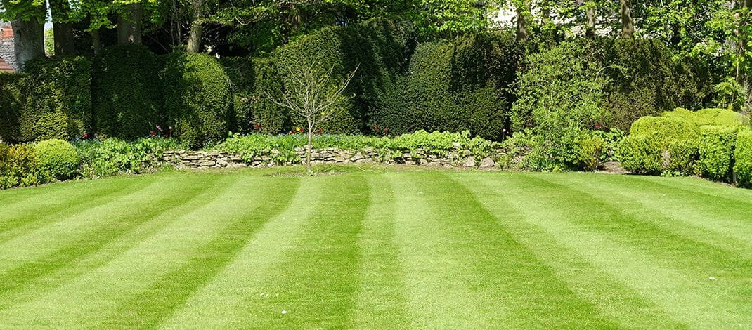 Spring is Here: Fresh Air, Smell of Cut Grass … and Tons of Children Injured by Lawn Mowers