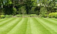 Spring is Here: Fresh Air, Smell of Cut Grass … and Tons of Children Injured by Lawn Mowers