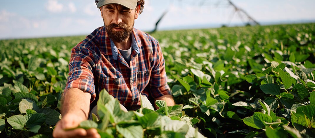 Farmers at Higher Risk for Death by Suicide