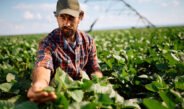 Farmers at Higher Risk for Death by Suicide
