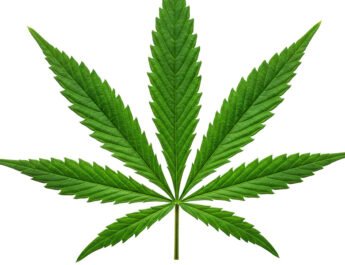 Survey: Marijuana Use Surpassed Cigarette Smoking. Or Did It?
